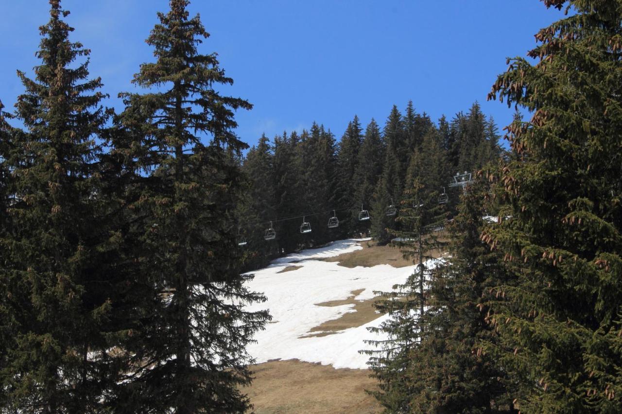 Apartamento T2 Col De Merdassier Au Pied Des Pistes Manigod