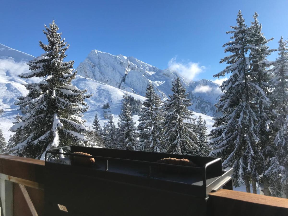Apartamento T2 Col De Merdassier Au Pied Des Pistes Manigod